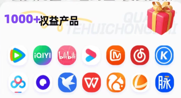 虚拟卡货源与数字权益平台操作界面